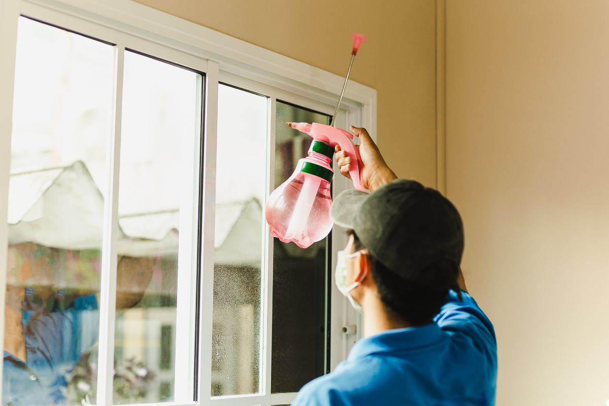 A person using a pink spray bottle to clean a window, showcasing their focus on maintaining a clear and shiny surface.